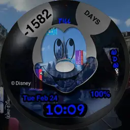 Disney World