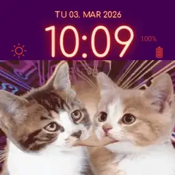 Tim and Eric Cat Kiss