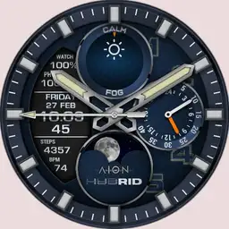 AION Hybrid 1