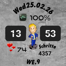 pipboy grey und grau