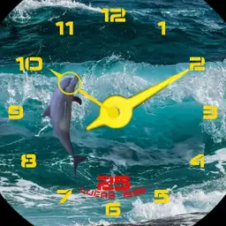 dolphin elegant