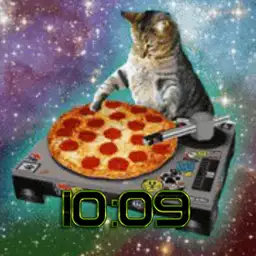 pizza dj cat