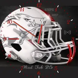 Arkansas Razorbacks