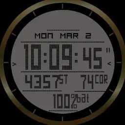 TACTICAL SPORT WATCH II