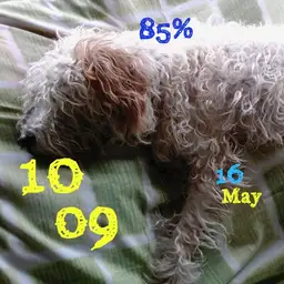 lazy afternoon