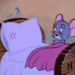 Ratoncito jugueton
