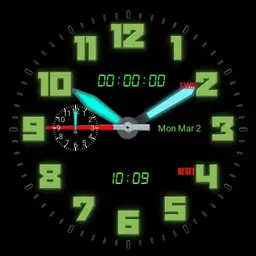 gpf field watch #1