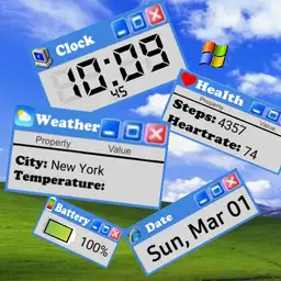 Windows XP