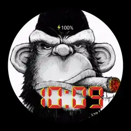 Monkey Soldier