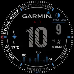 garmin 2