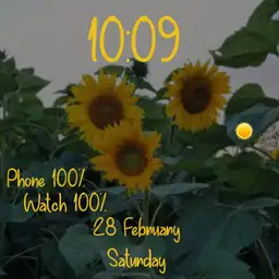 Sunflower happiness