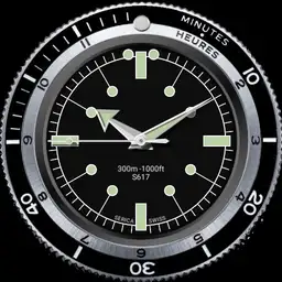 Serica Divers Watch 2 in 1