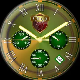 FJLWatch-07