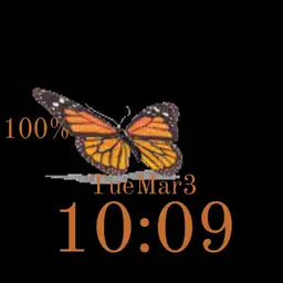 butterfly