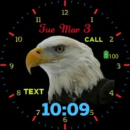 eagle head