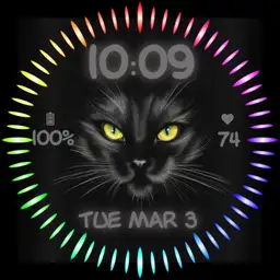 Black cat