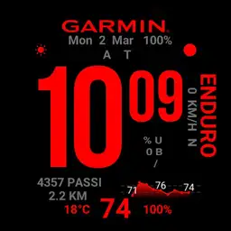 Savy Garmin Enduro OK