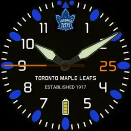 Leafs Aeromaster