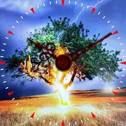 lighting up the tree