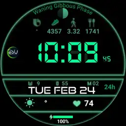 Waning Moon watch