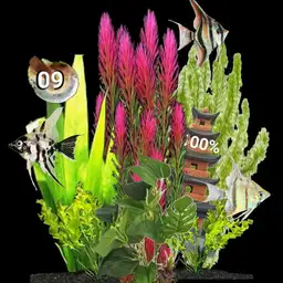 Angelfish swimming in an aquarium