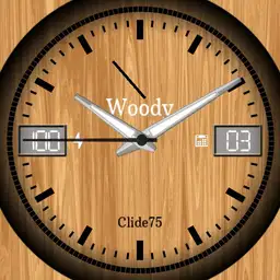 Wood Erable CP 2