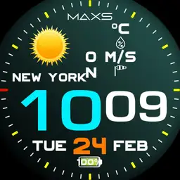 Digital weather watch