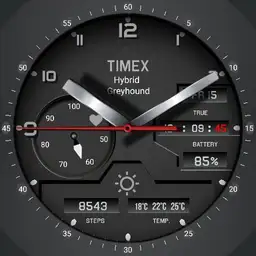 Timex Hybrid Greyhound