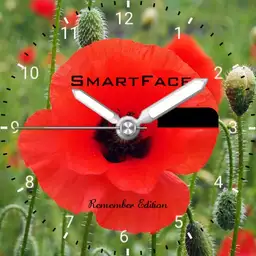 SmartFace - Remembrance Edition
