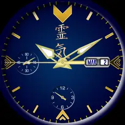 WDS REIKI WATCH