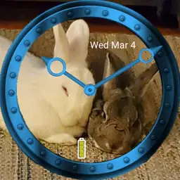 Bunnies
