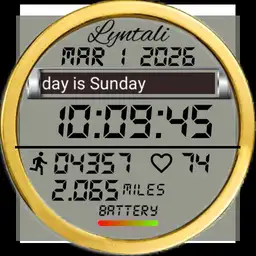 Lyntali Stopwatch S6