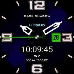 Dark Shadow Hybrid Copy