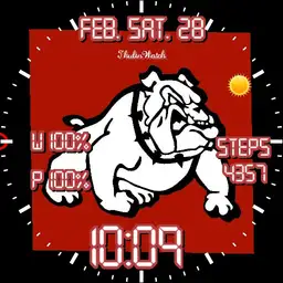 Skiatook Bulldogs Copy