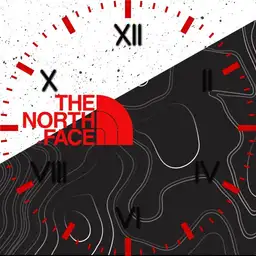 thenorthface004