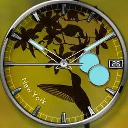 Untitled watch Copy