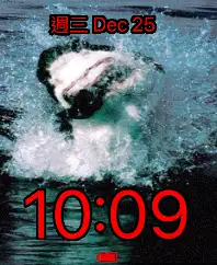 shark animated Copy