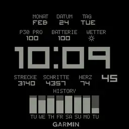 Garmin ST original_Gyeore Copy