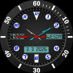 Analog watch