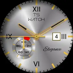 TS watch
