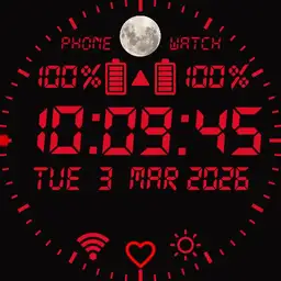 Digital Multi Function 24HR
