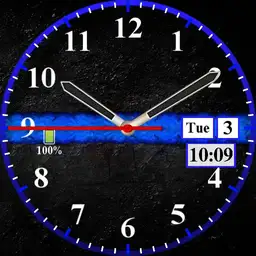 Thin blue line watch