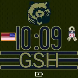 Bears Jersey Salute to Service 2