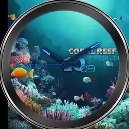 Coral Reef _Pakistan
