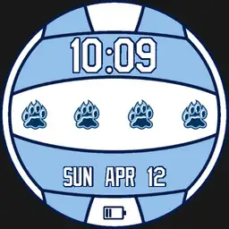 Chicago City Flag Volleyball Copy