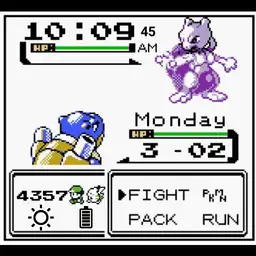 Pokemon Battle