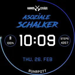 ASOZIALE SCHALKER