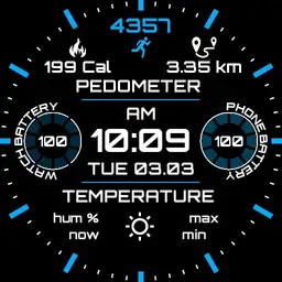 Digi_Run_Weather_Copy