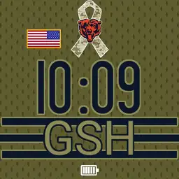 Bears Jersey Salute to Service 5 Copy