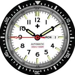 Brute SAR Save and Rescue Diver Field Watch Bezel Rotate Zoom Lume Colours
